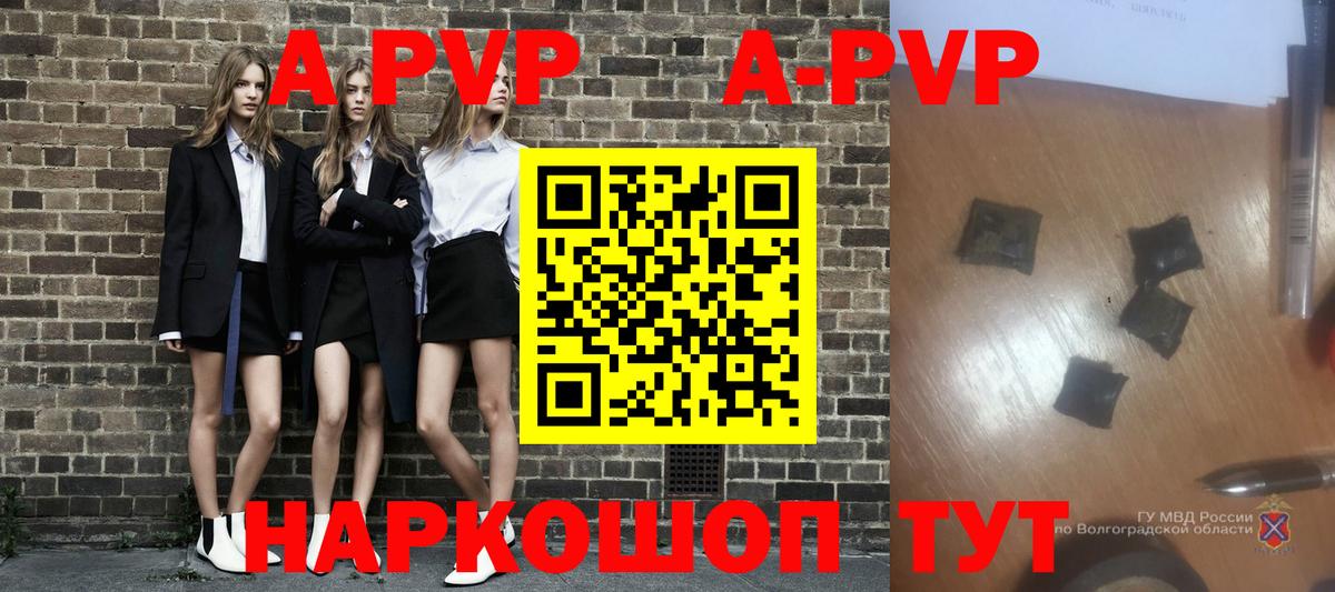 A PVP СК КРИС Воронеж