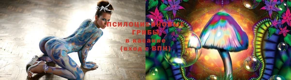 Альфа ПВП Медвежьегорск