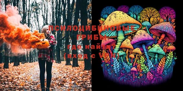 первитин Мегион