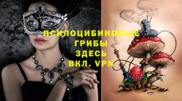 Альфа ПВП Медвежьегорск