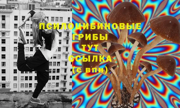 хмурый Медногорск
