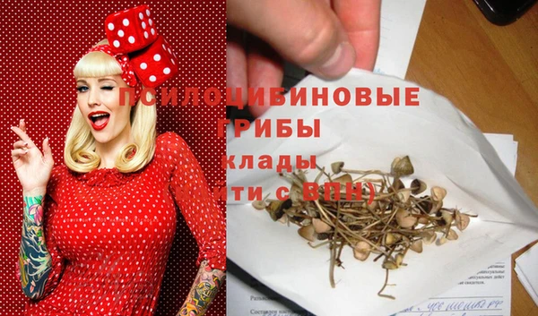 первитин Мегион