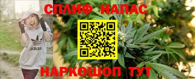 спайс Будённовск