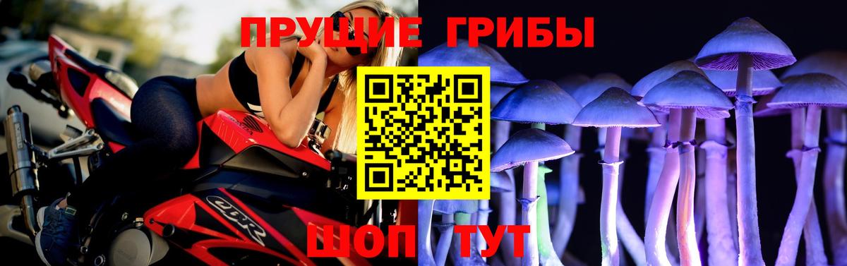 Галлюциногенные грибы Cubensis  хочу   Воронеж 